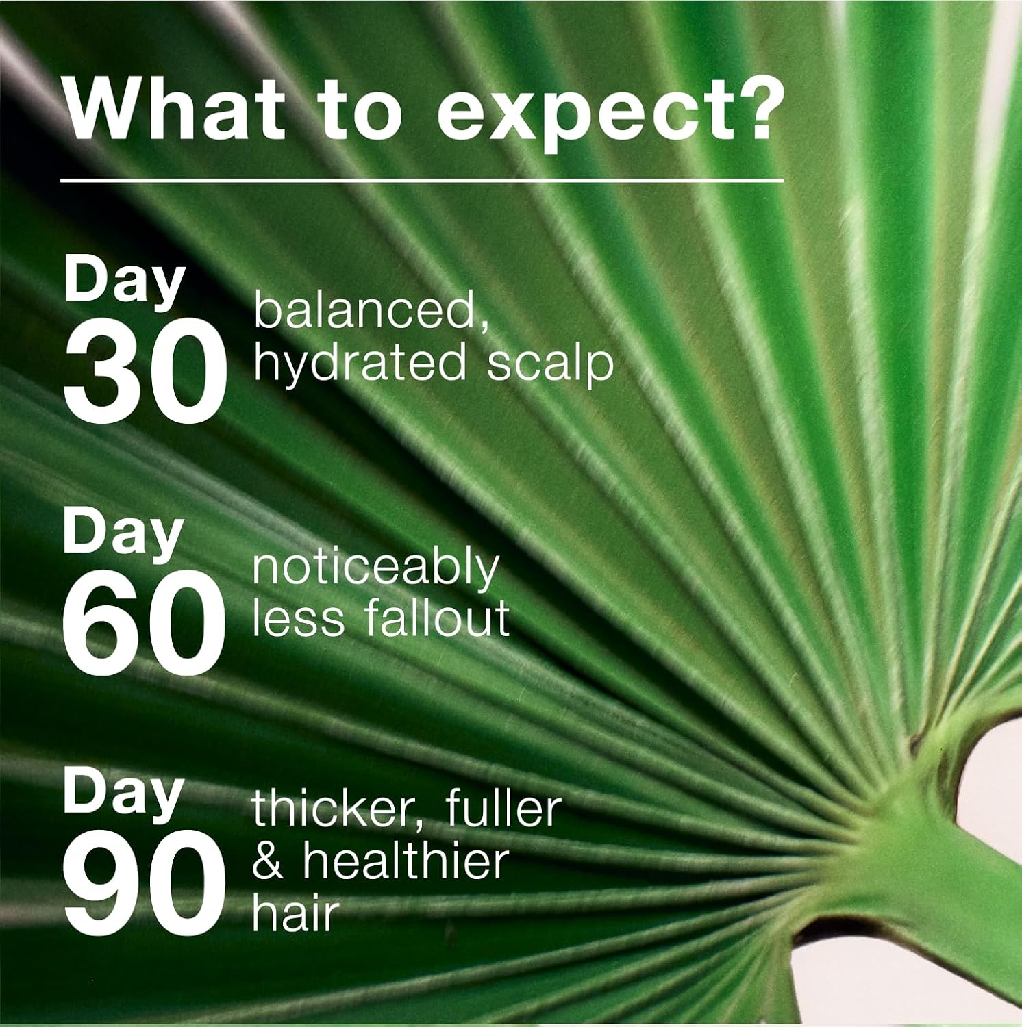mumms Scalp Serum, Hair Growth Treatment with Saw Palmetto and Ginger Root, 2 fl oz, Daily Use