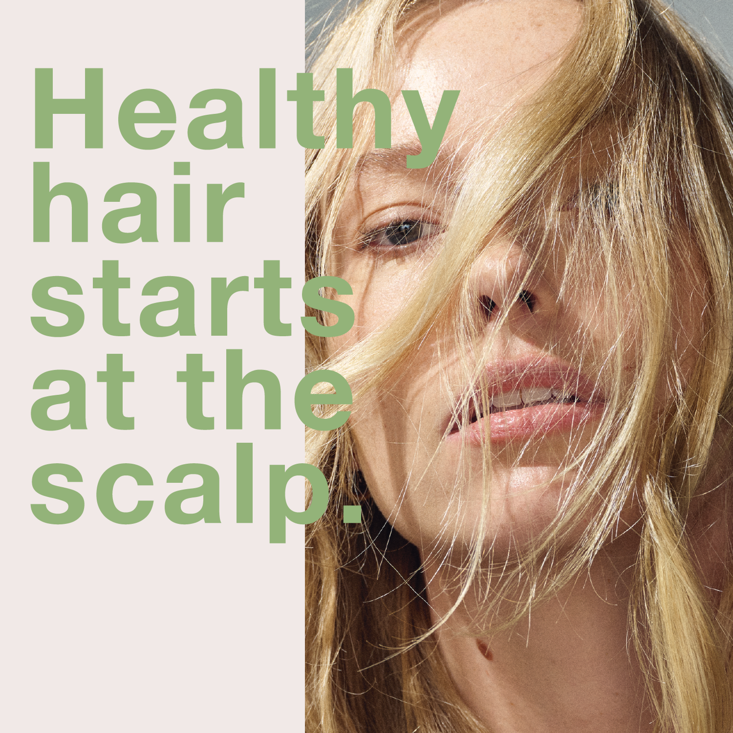 mumms Scalp Serum, Hair Growth Treatment with Saw Palmetto and Ginger Root, 2 fl oz, Daily Use