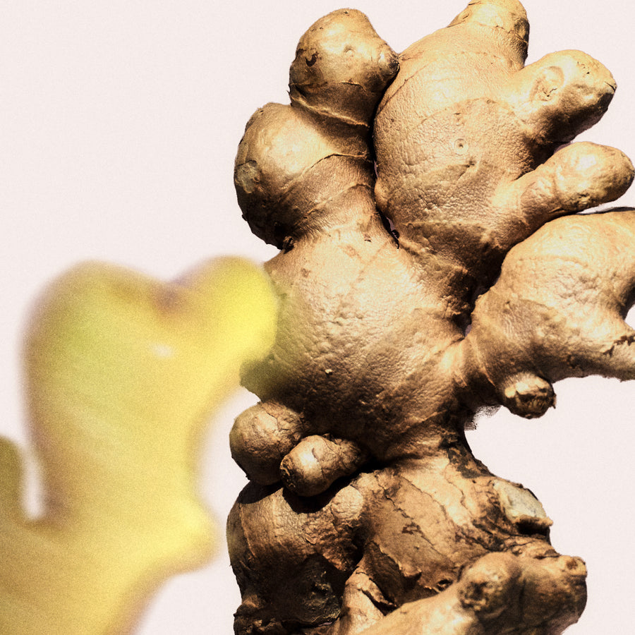 Ginger Root